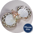 8294 - Twin Scallop Dish with Shell Accent